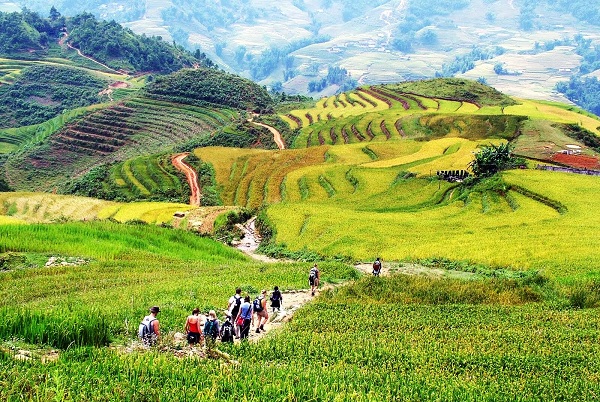 Top 6 meilleurs endroits de trekking au Nord Vietnam
